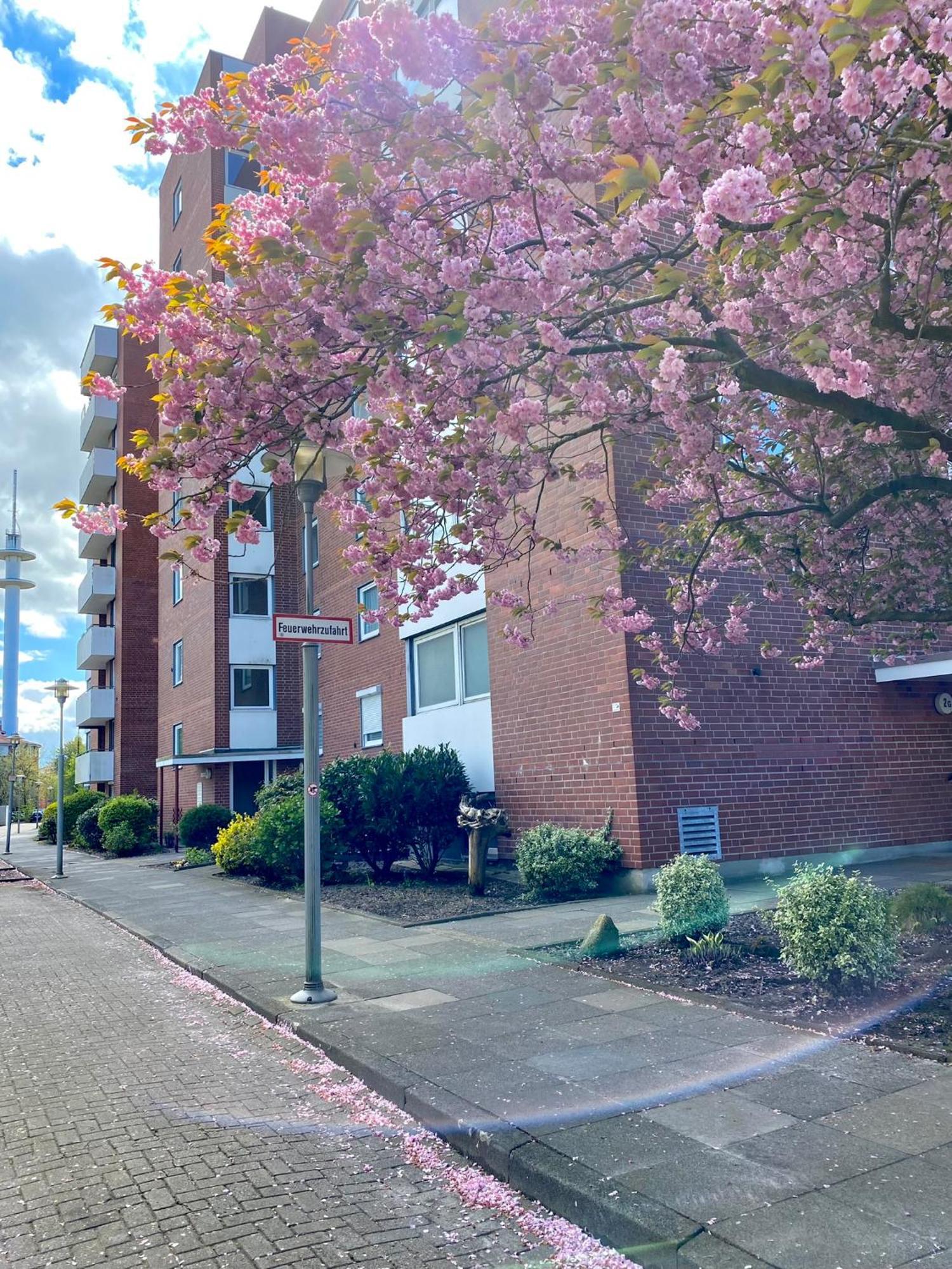 City Ferienwohnung Skyline - Mit Grossem Balkon & Xxl- Sofa Fuer Bis Zu 4 Personen Bremerhaven Exterior foto